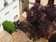 674dd54399240.webp