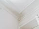 682af845b9a62.webp