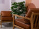 682dce8c8c55d.webp
