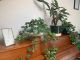 683571896df4e.webp