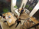 686b87714ed16.webp