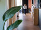 688c796071cbd.webp