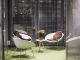 6a31200fdec4c.webp