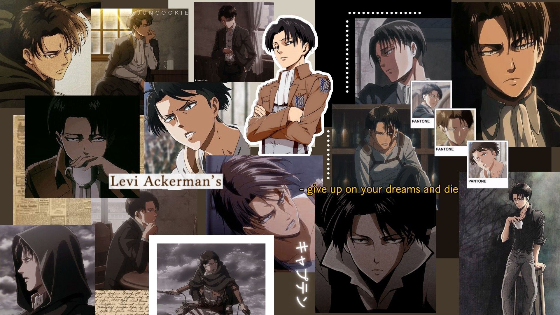 Levi