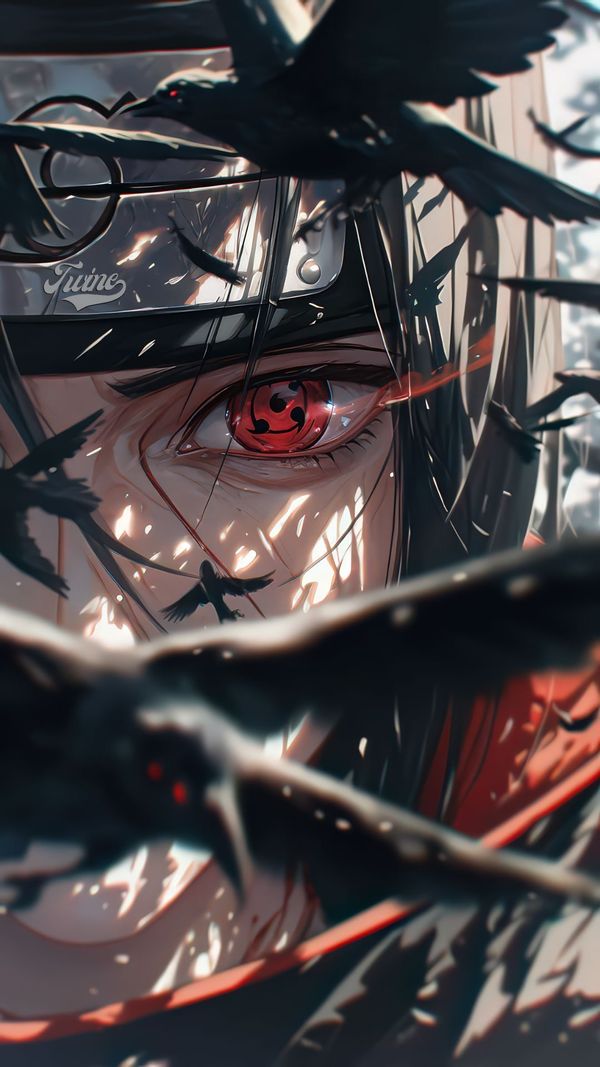 Red Eyes Bird