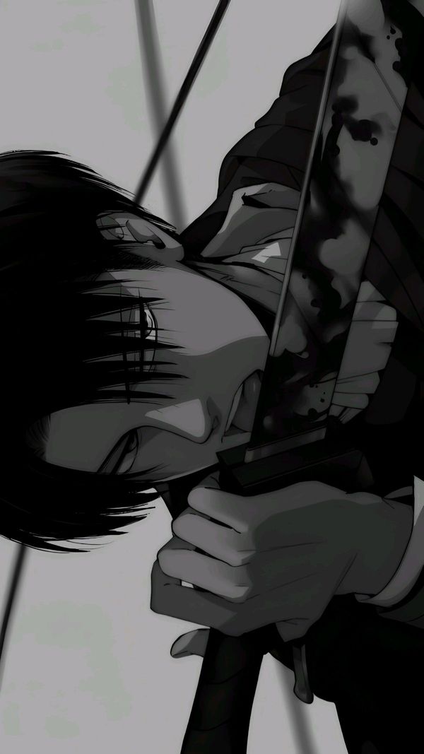Levi