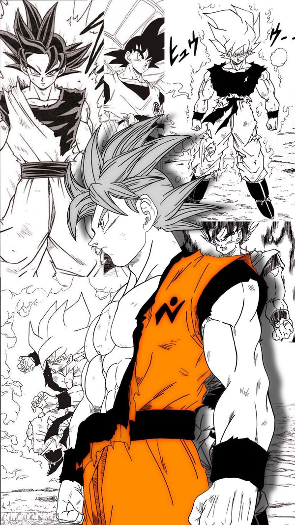 Son Goku Dougi