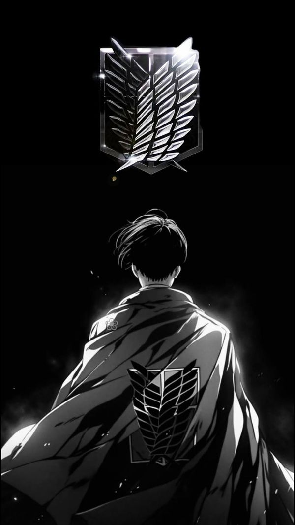 Levi