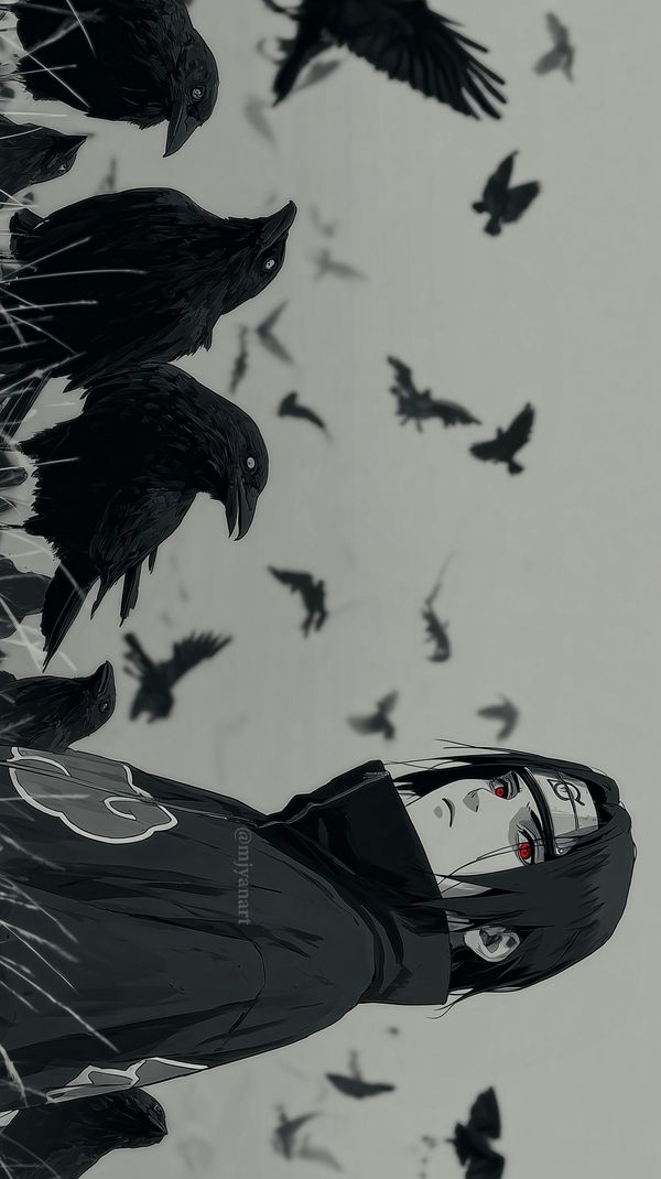 Bird Crow