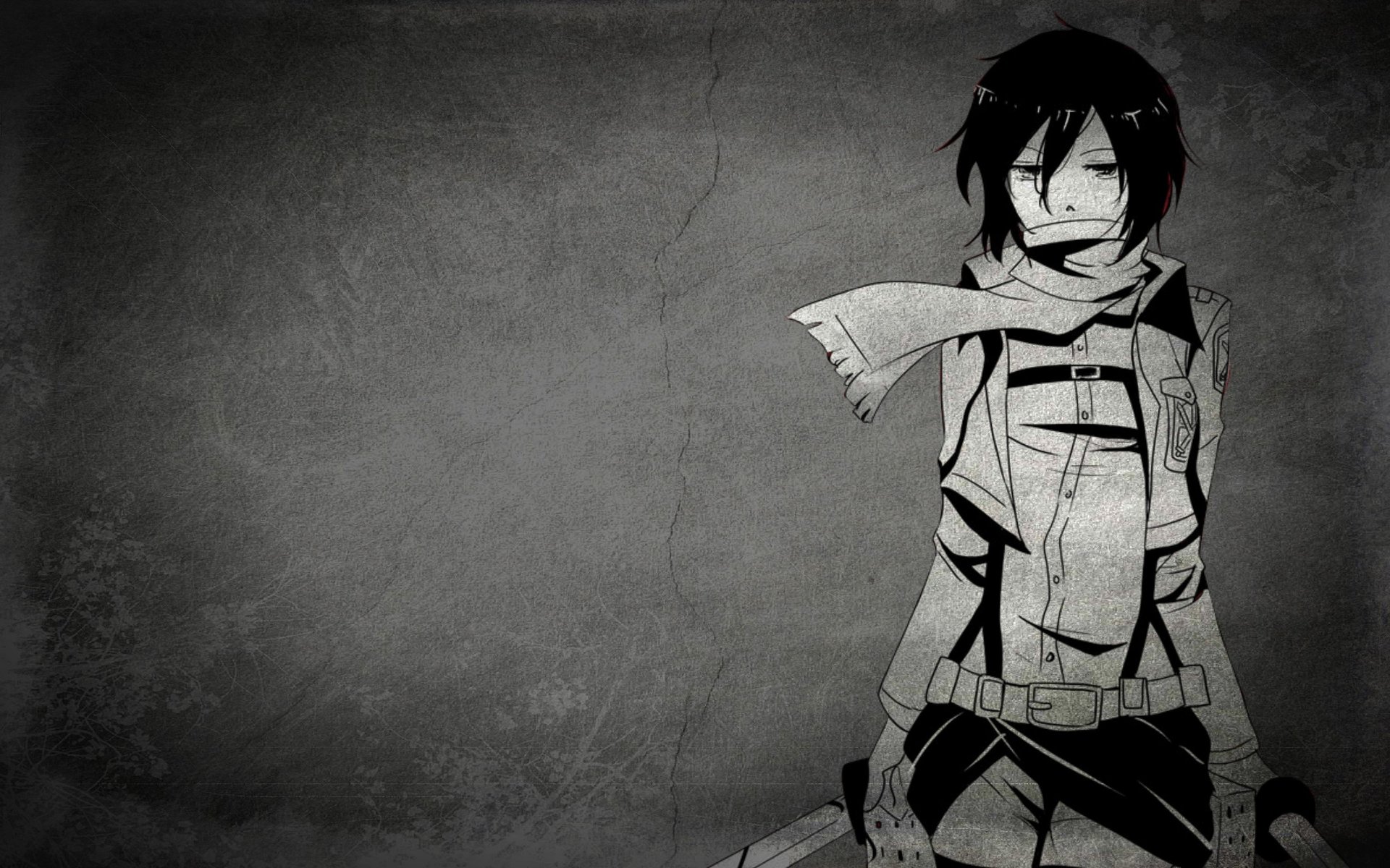 Mikasa Ackerman