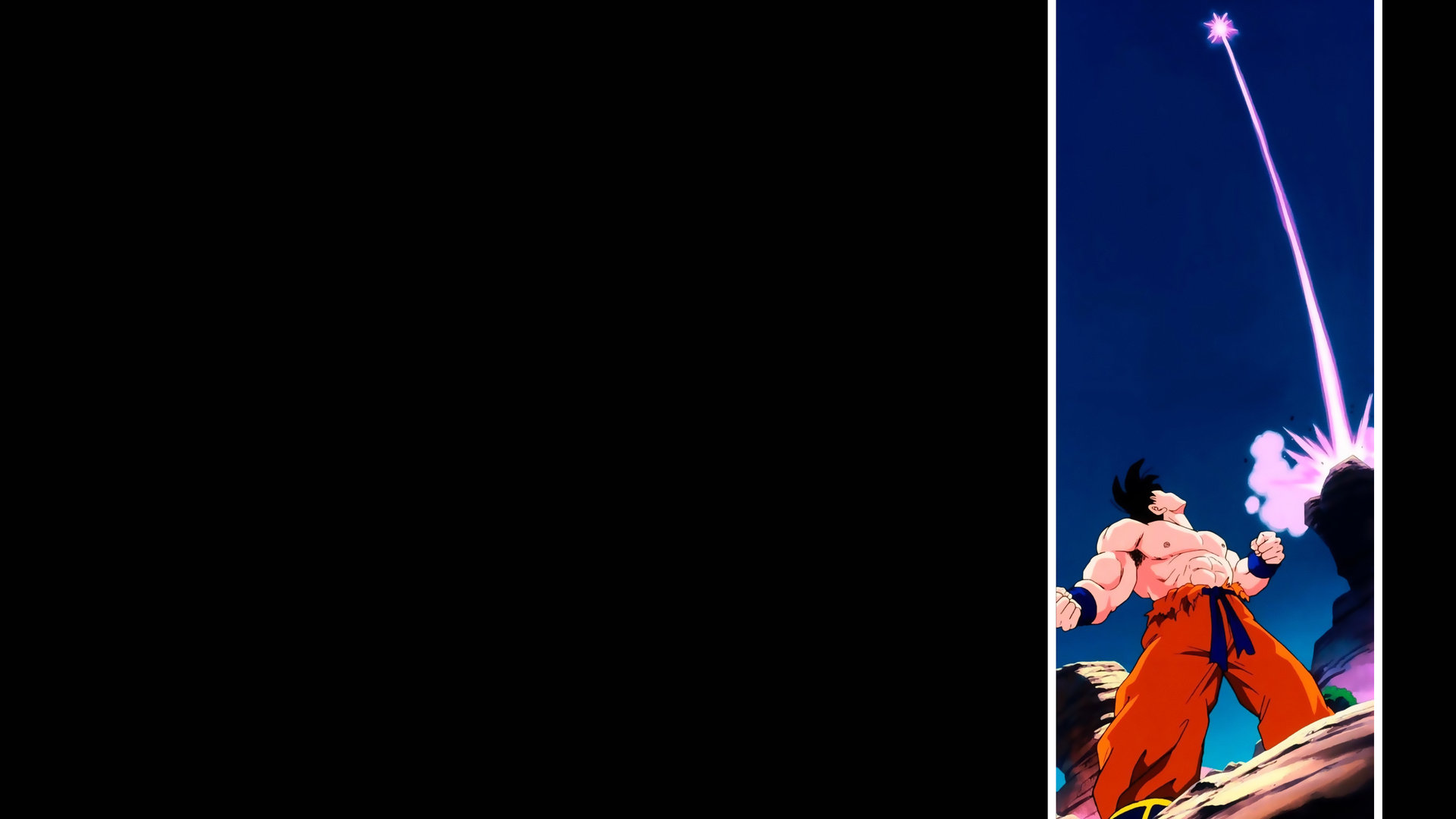 Son Goku