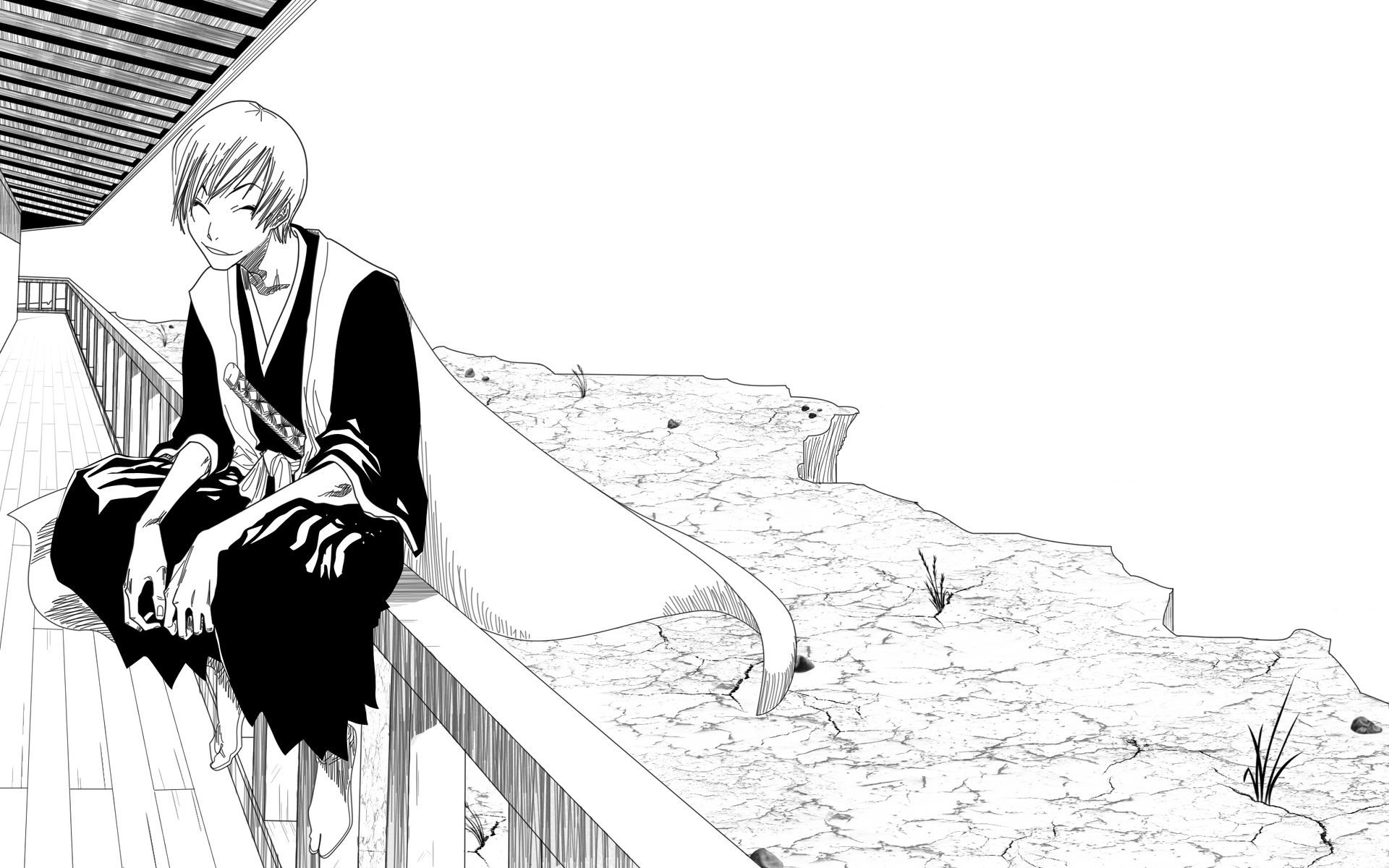 Bleach