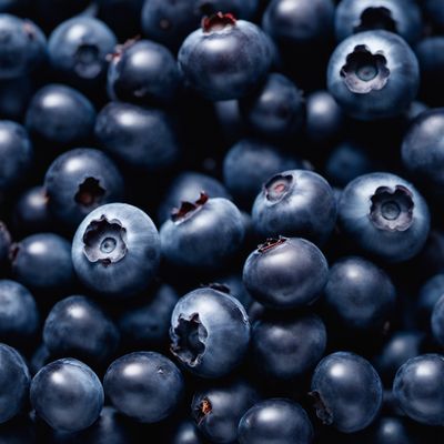 Bilberries (European blueberries)