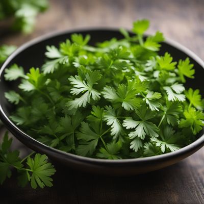 Coriander leaves