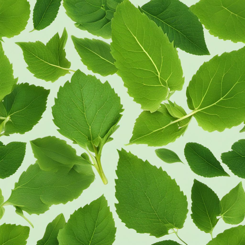 Balsam pear leaves