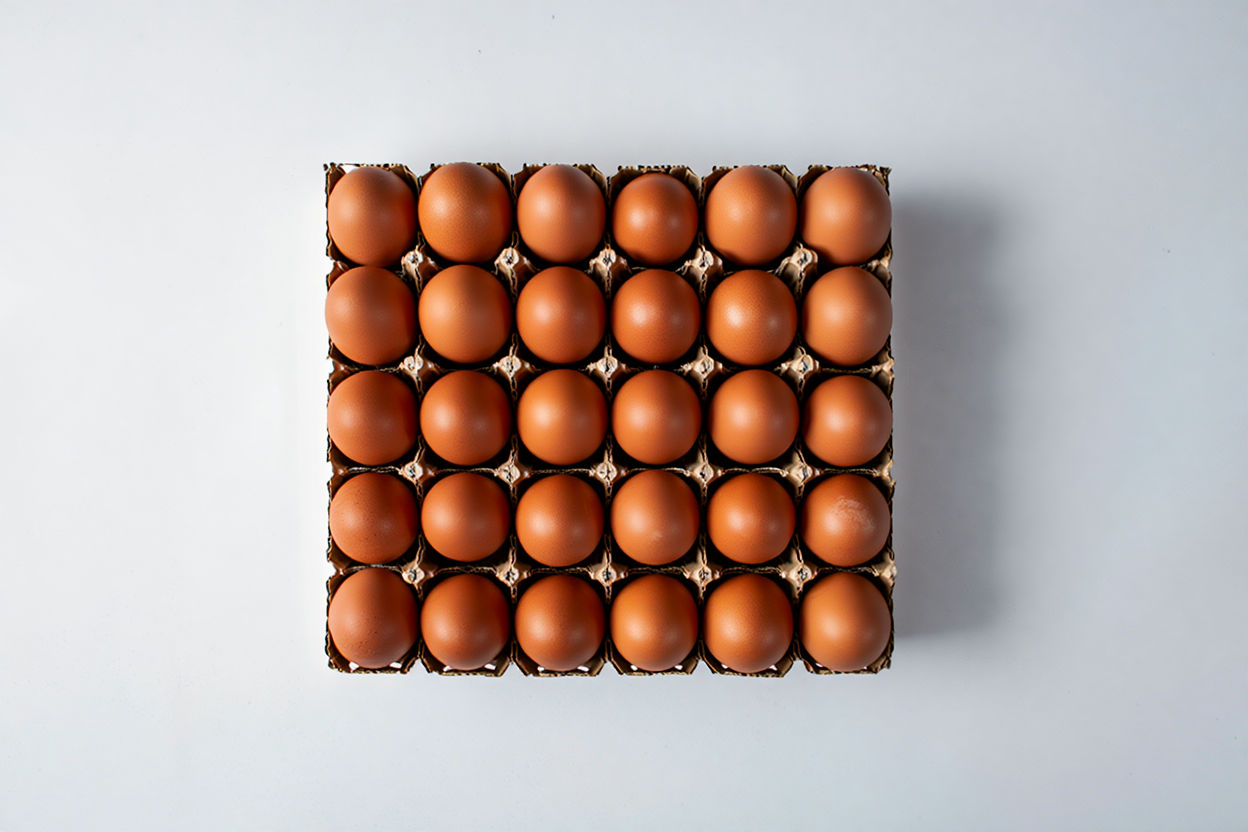 medium eggs 2