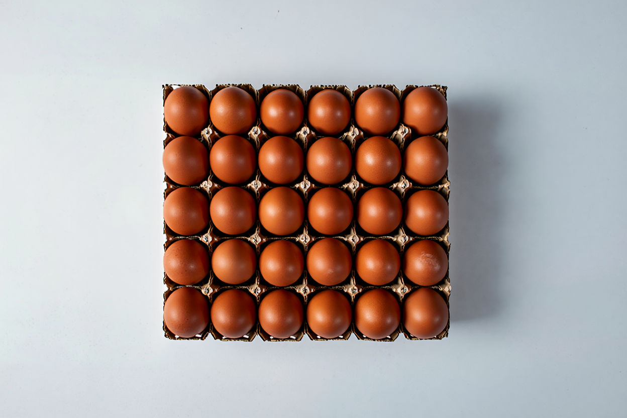 medium eggs 3