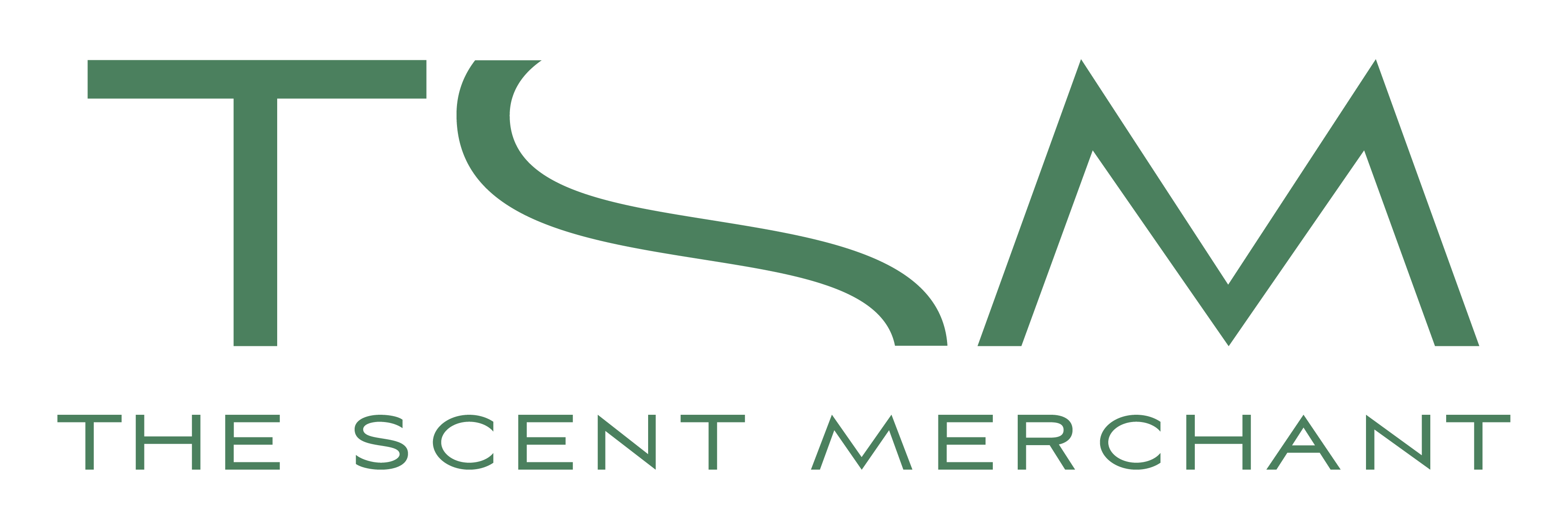 TSM_LOGO