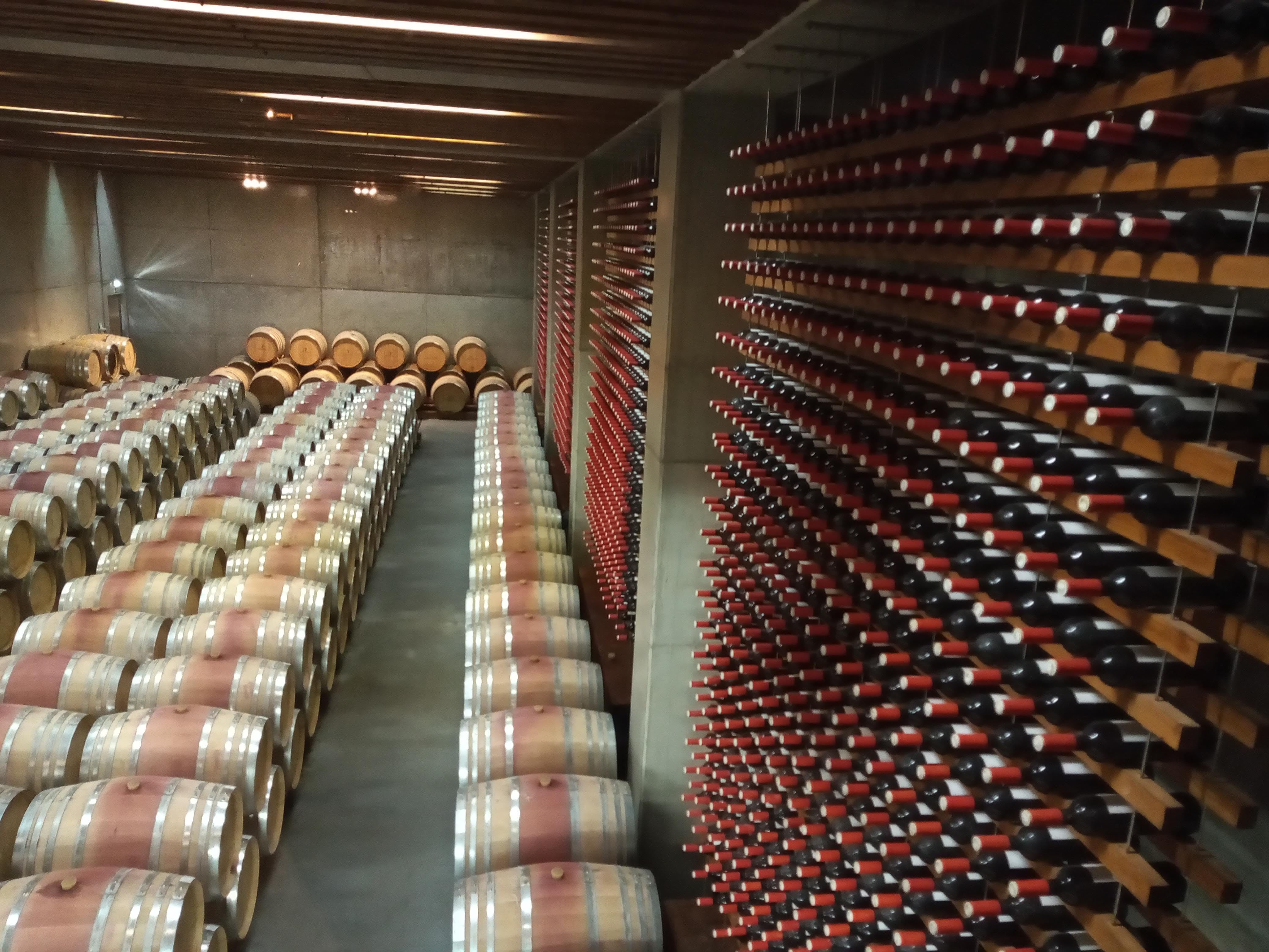 Adega Mãe (Torres Vedras)