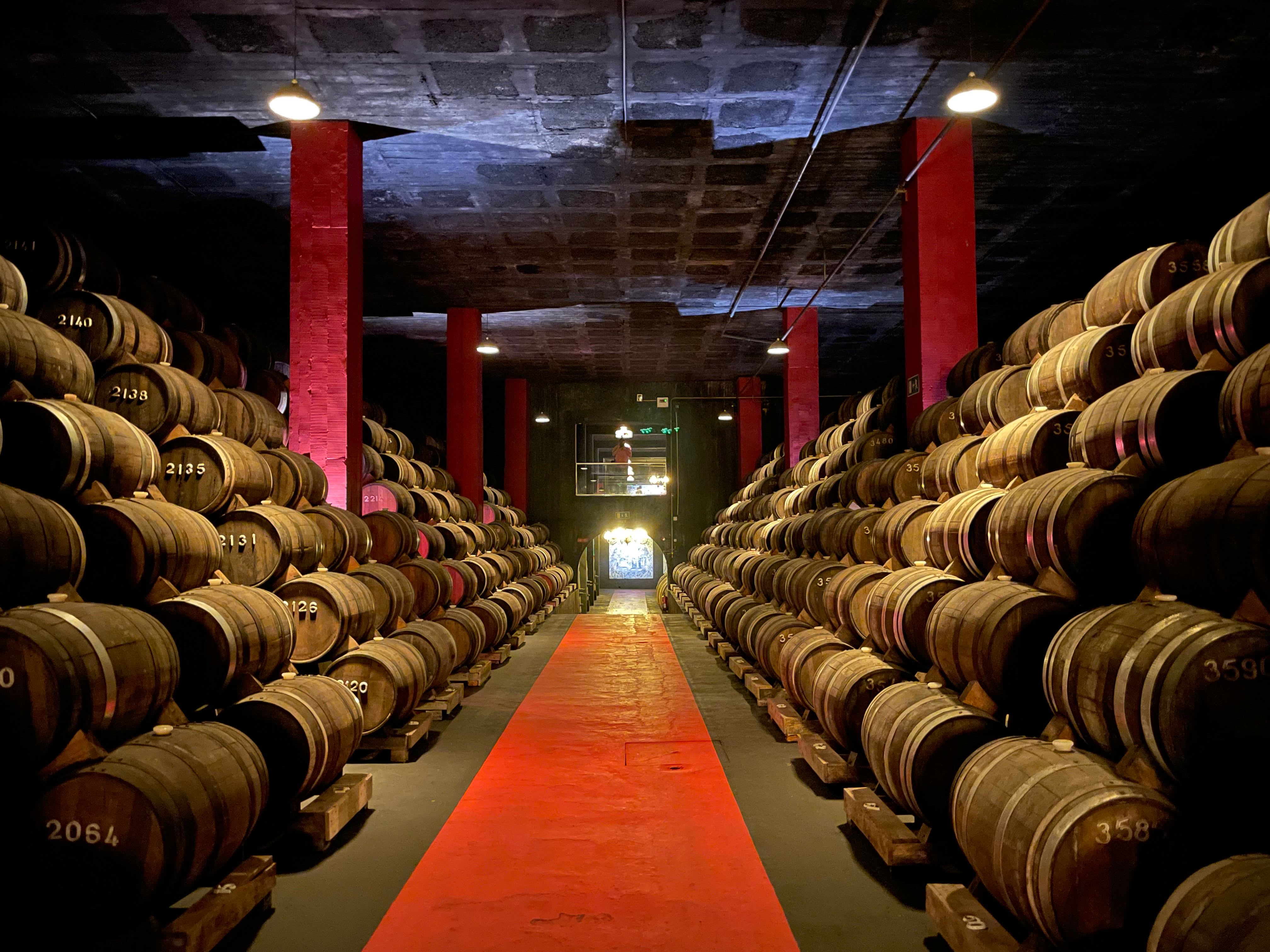 Aliança Underground Museum (Anadia)