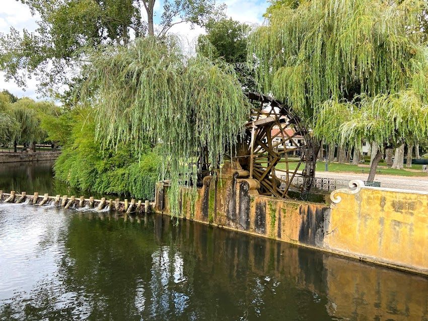 Cascata do Alviela (Cascata da Corredoura) (Santarém)
