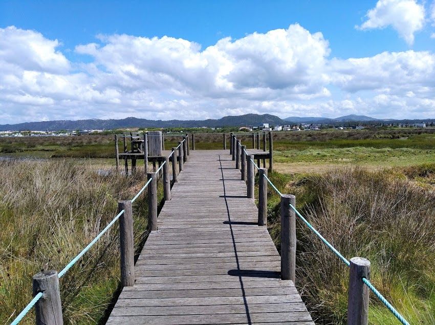 Miradouro de Avifauna do rio Cávado (Esposende)