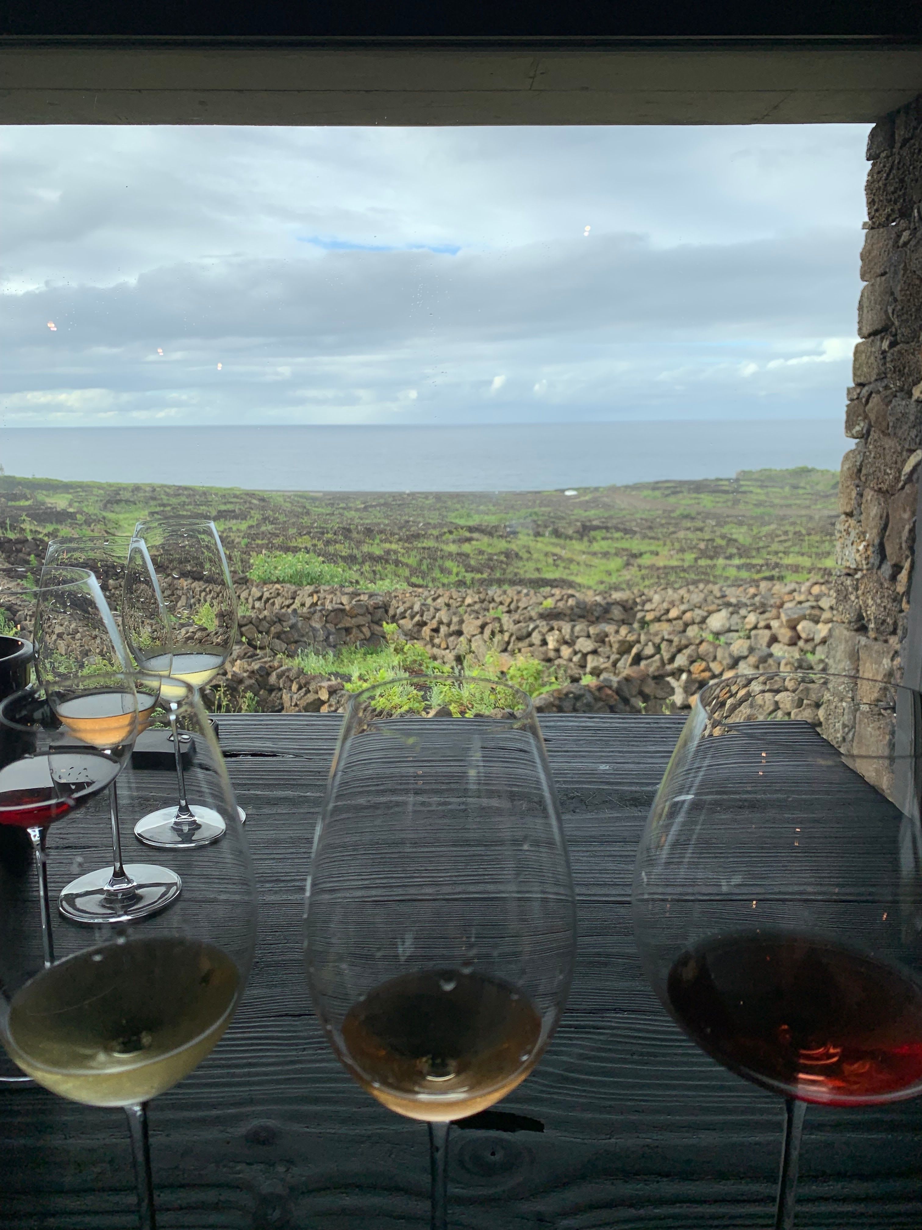 Adega da Azores Wine Company (Madalena)