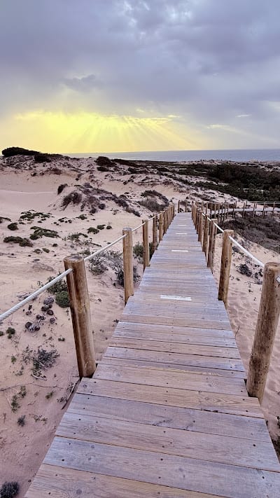 Passadiços da Duna da Cresmina (Cascais)