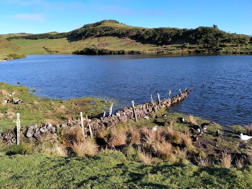 Lagoa do Capitão (Santa Cruz das Flores)