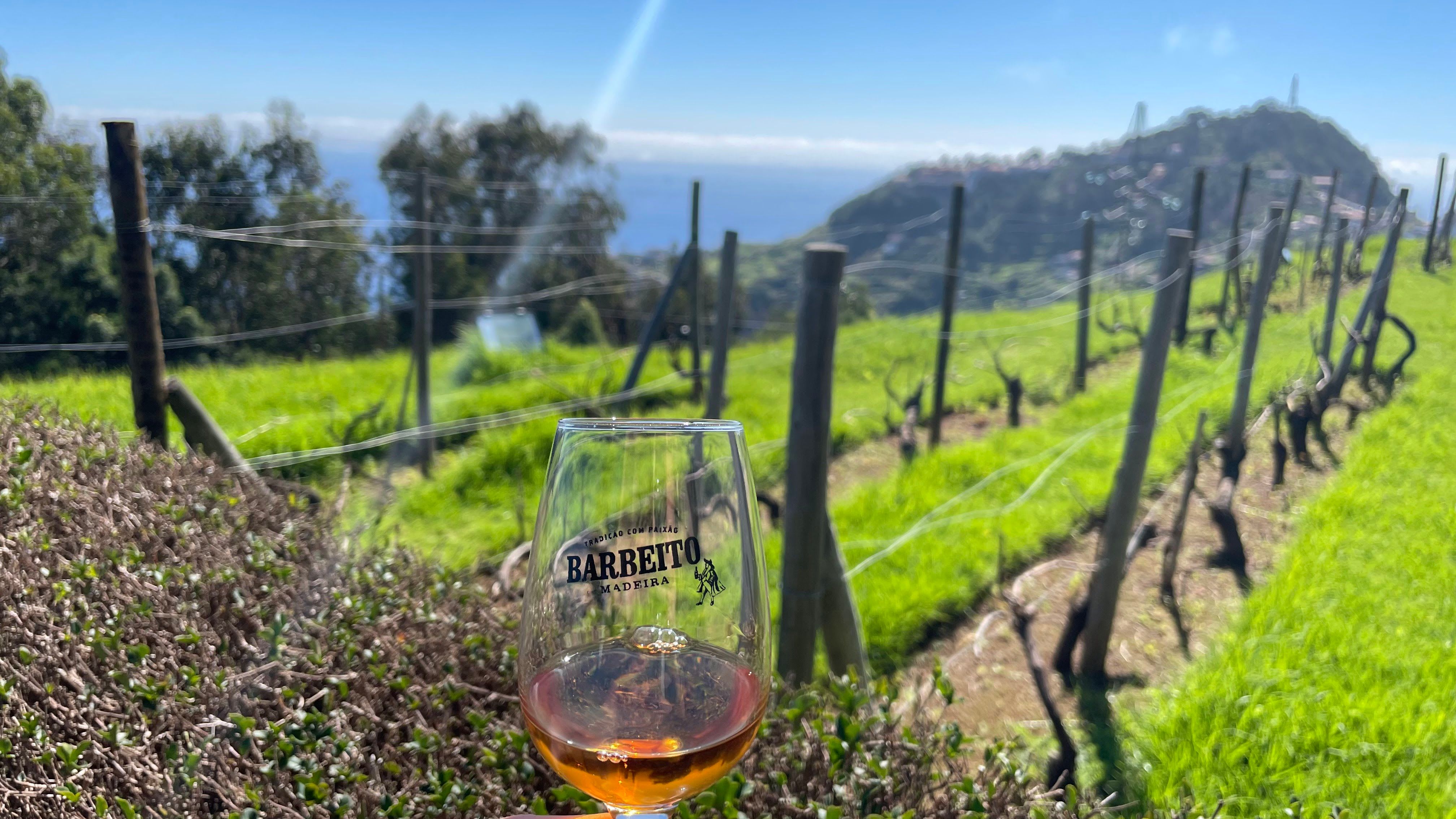 Casa Barbeito (Câmara de Lobos)