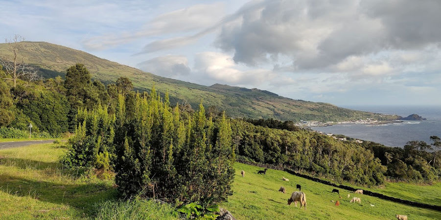 Miradouro da Cascalheira (Lajes do Pico)
