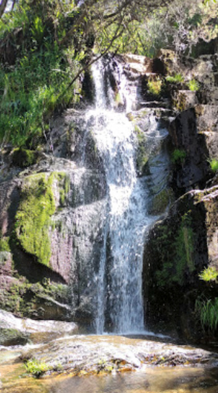 https://ik.imagekit.io/hwiz6e711yqn/cascata-de-cando-arouca.png?tr=w-900&20220125
