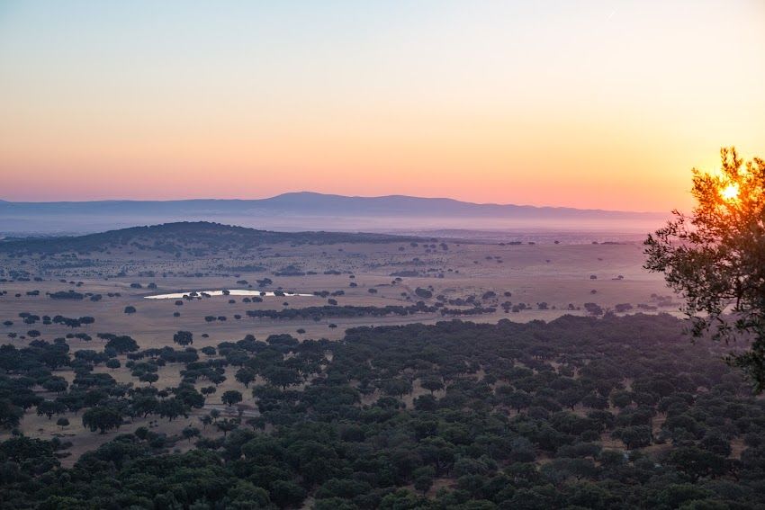 Castelo de Alter Pedroso (Portalegre)