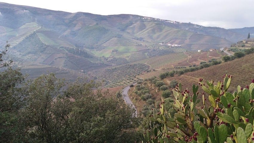 Miradouro de Cedovim (São João da Pesqueira)