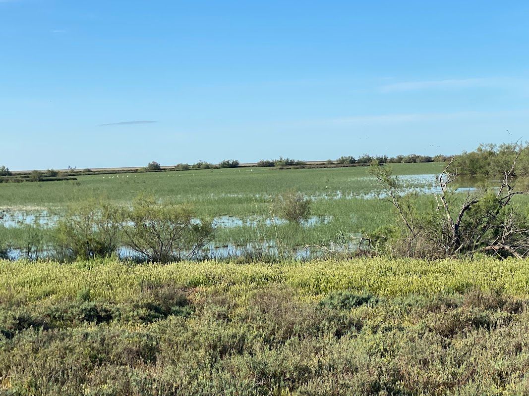 Parque Nacional de Doñana (Huelva)