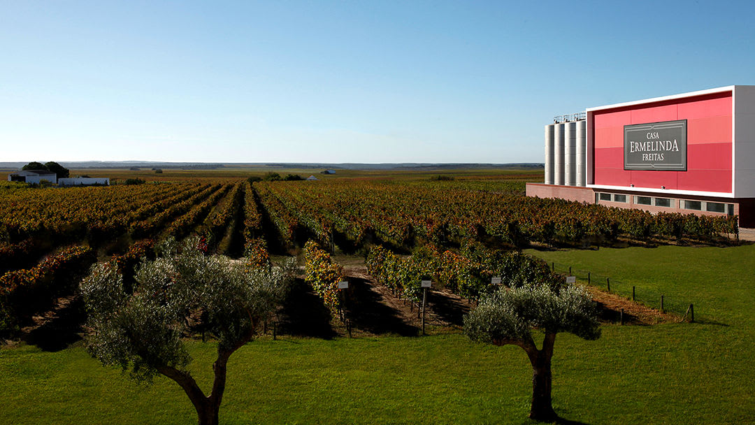 Casa Ermelinda Freitas (Palmela)