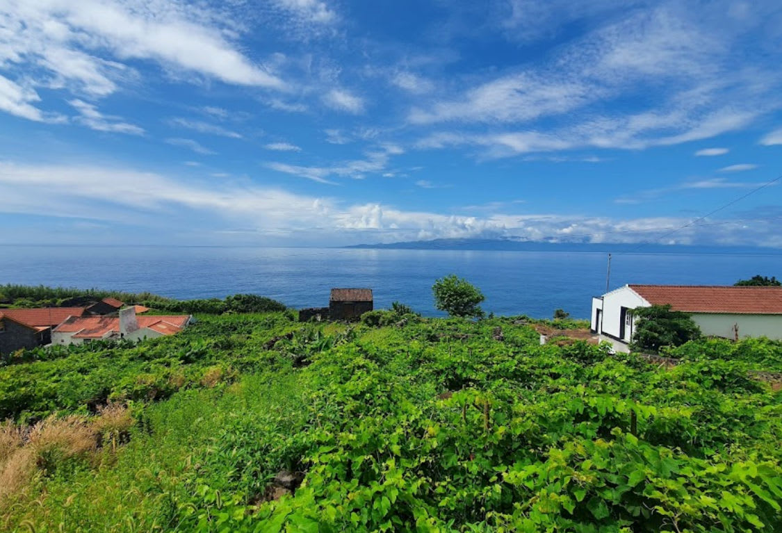 Miradouro da Fajã dos Bodes (Calheta (São Jorge Açores))