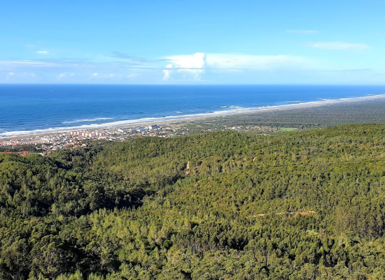 Miradouro da Bandeira (Figueira da Foz)