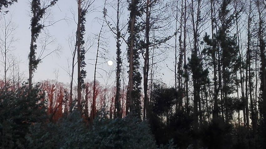 Miradouro de Frossos (Curvos) (Esposende)