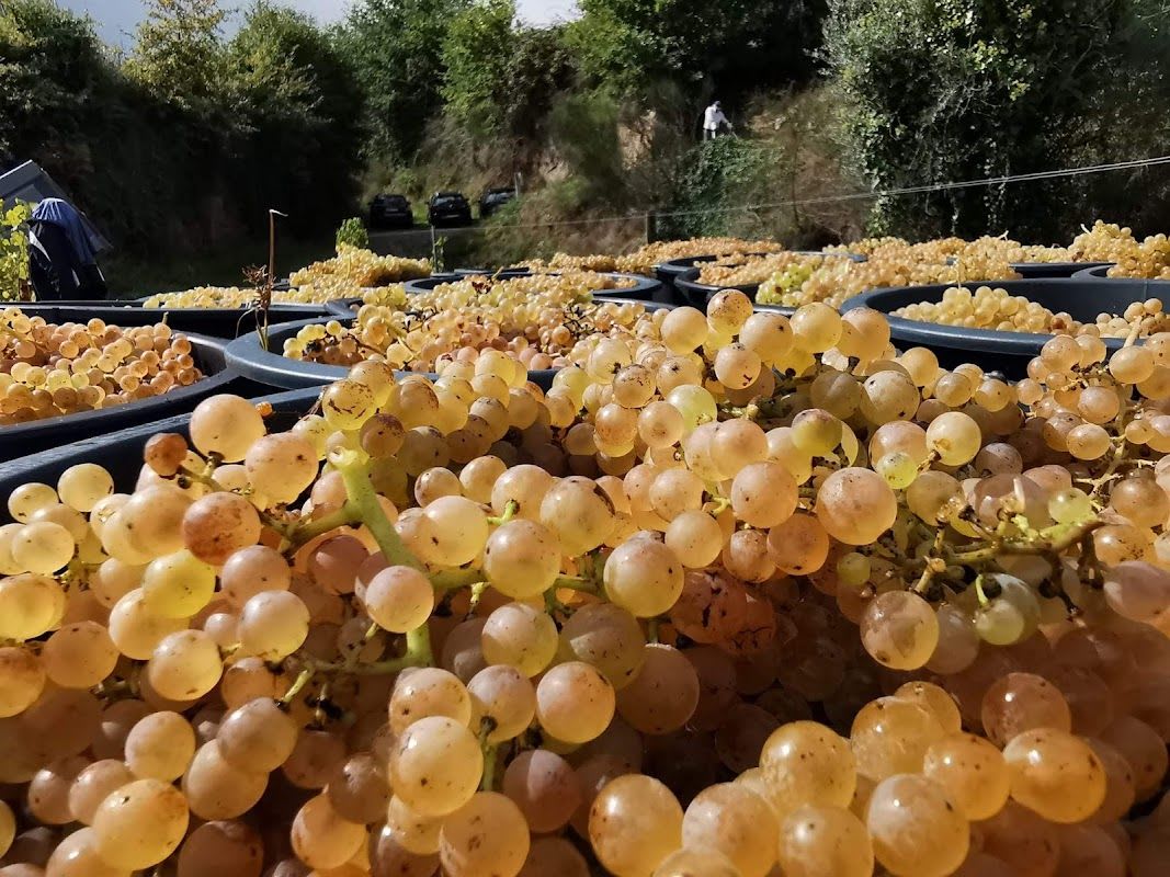 KeepitNatural (Ponte de Lima)