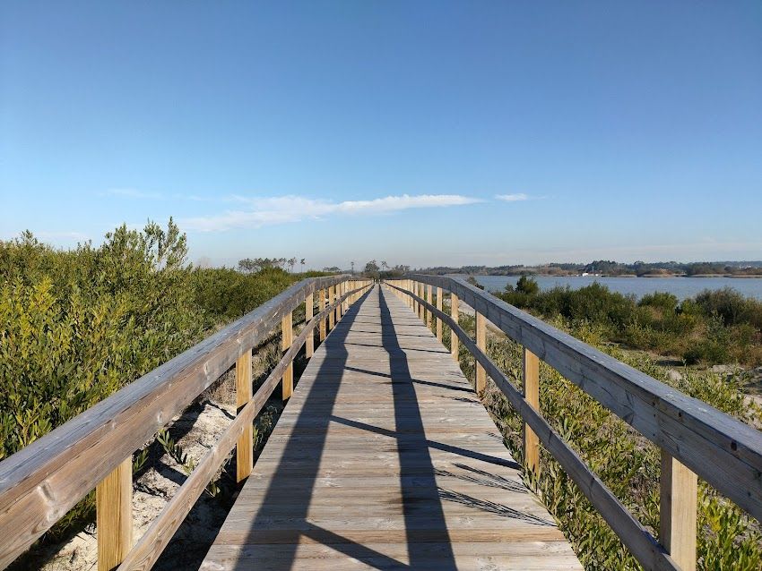 Passadiços da Lagoa da Vela (Figueira da Foz)