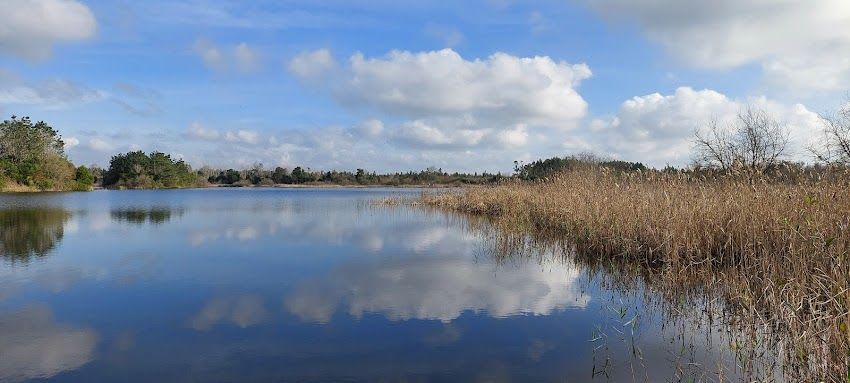 Lagoa das Braças (Figueira da Foz)