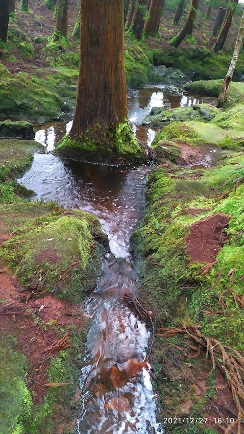 Lagoa das Patas (Angra do Heroísmo)