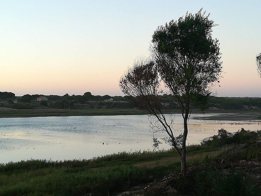 Lagoa de Melides (Grândola)