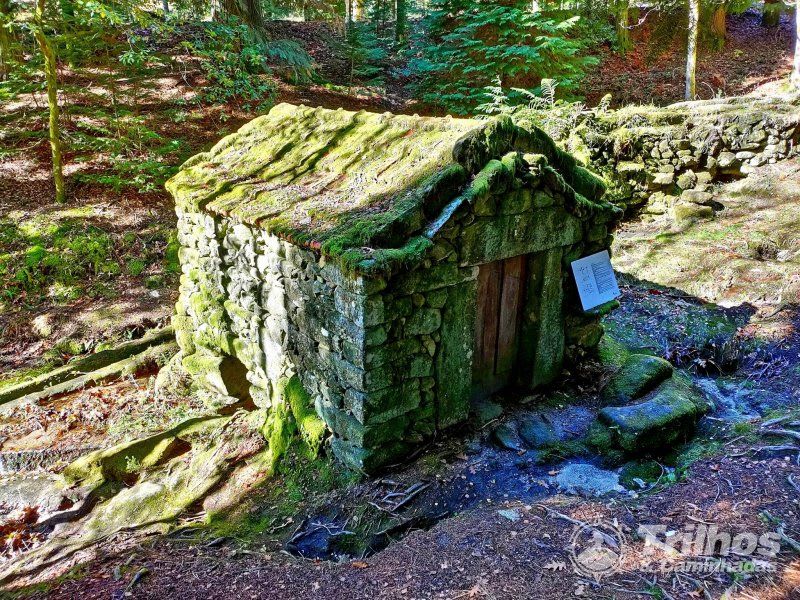 Trilho Levada da Víbora e Moinhos de Rei (Cabeceiras de Basto)