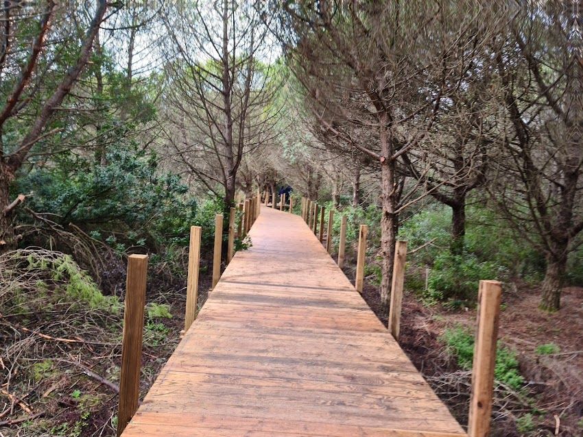 Passadiços da Mata dos Medos (Almada)