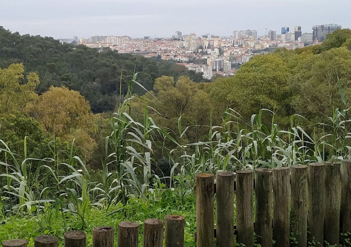 Miradouro da Escarpa (Lisboa)