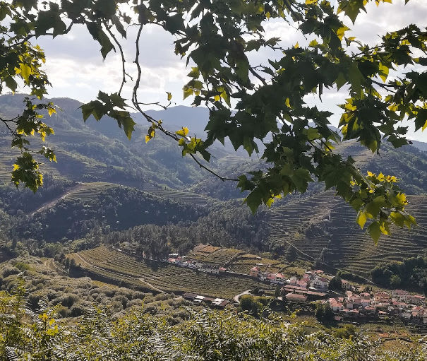 Miradouro da Veiga (Vila Real)