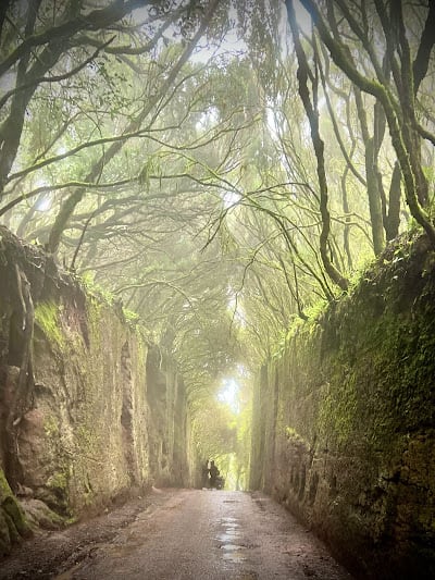 Caminho Viejo al Pico del Inglès (Santa Cruz de Tenerife)