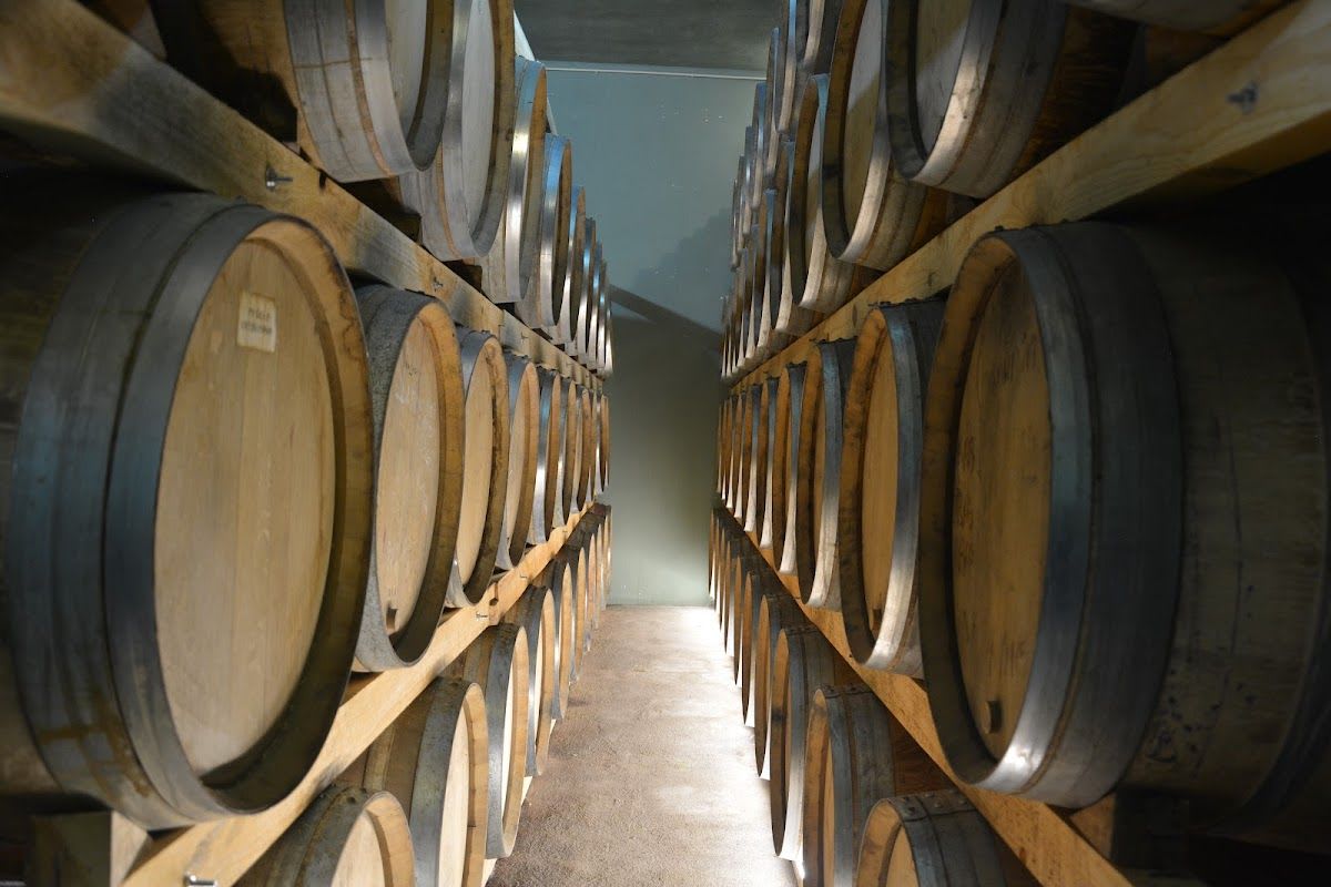 Adega de Palmela (Palmela)